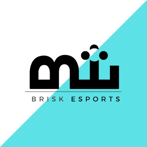 Brisk Esports Mobile Legend Team in the Philippines